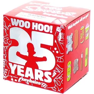 Kidrobot 25th Anniversary Simpsons Keychain Series: (1 Blind Box)
