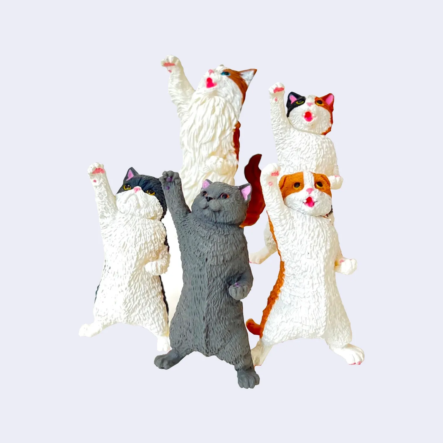 Nyaoooo! Power Cats Blind Box