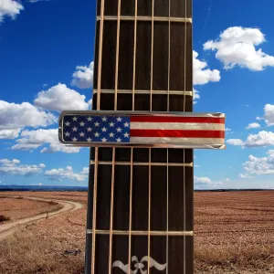 Stars & Stripes | Deluxe Capo